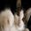 EliotCat_SandyM