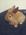Christel_Kallin