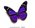 Tiffany_Seibel_Howar