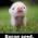 Shannon_Mahany_Brumm