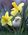 Sandy_Richey_Schex