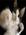 Sandy_Marowitz