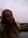 Anne_de_Wit