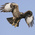 Flying_High