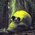 Tony_Watson