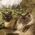 Jeri_LaTendresse
