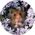 Kim_Struntz