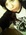 Jade_EdgeO9