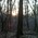 Bill_Lichter