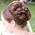 Sandra_Parks