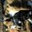 Tamie_Matthews
