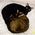 Sharon_Waterman