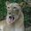 Kathy_Sauer