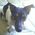 Cheri_Selby