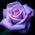 OPR_JAZ
