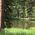 Becky_Bollich_Tesch