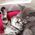 Kelly_Vouri