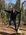 Malthe_Jakobsen