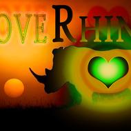 LoveRhinoAK