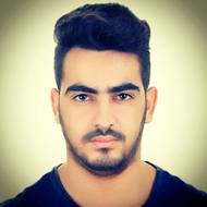 fouad_saila