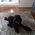 Jane_Gordon_Schindle
