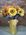 Victoria_E_Abbott