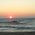 Cathie_Swan