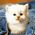 Kathy_Stedman