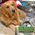 Karen_Sawchuk