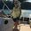 Joanie_Beaulieu