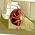 Adriane_Casiano