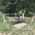 Ulrike_Rumpf
