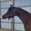 Kendra_Hillman_Chilc