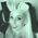 BunnyMcBunny
