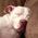 Loryn_Relf