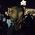 Allan_Vineyard