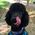 Shaun_Boehringer