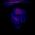 Neil_Cleaverhoffer