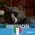 Giuli_Negri