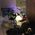 Jack_Kolmansberger
