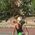 Amy_Hartigan
