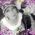 Kerry_Anne_Perkes