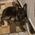 Christine_Lapenta
