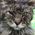 Katie_John_Clark_Sha