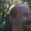 Dylan_Bryan_Dolman