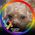 Elayne_Glassheim