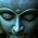 Zen_Flower_Poppy