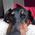 katya_the_rat_