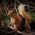 Bruce_Wilson