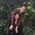 Diana_Rubinsky